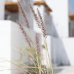 Cosme, A Luxury Collection Resort, Paros Nausa