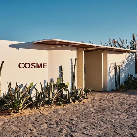 Hotel Cosme, A Luxury Collection Resort, Paros Nausa
