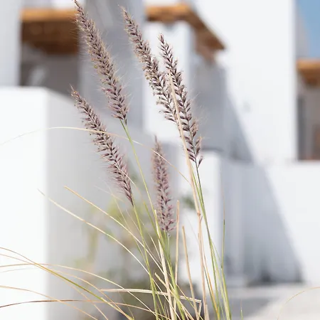 Cosme, A Luxury Collection Resort, Paros Náusza