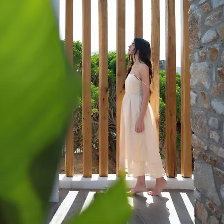 Cosme, A Luxury Collection Resort, Paros מלון נאוסה