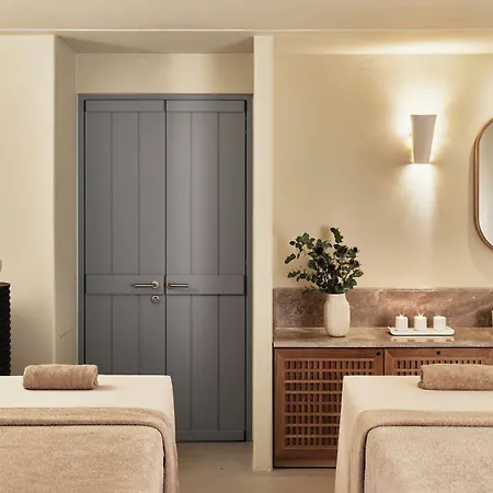מלון Cosme, A Luxury Collection Resort, Paros נאוסה
