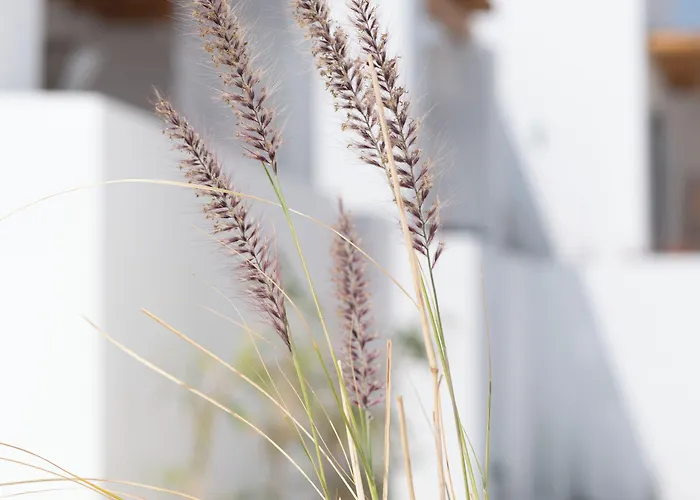 Cosme, A Luxury Collection Resort, Paros Náusza